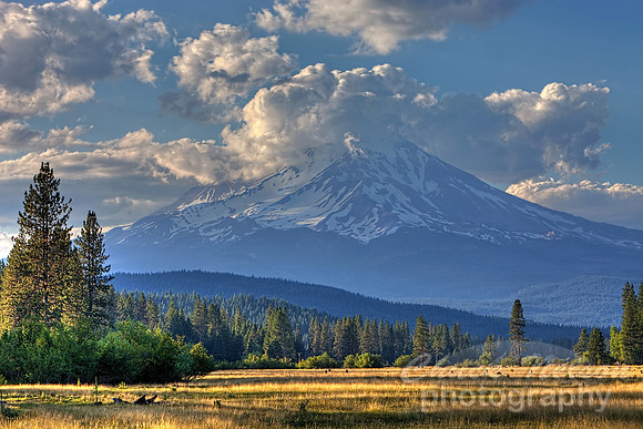 #451 - MOUNT SHASTA NEAR McCLOUD #17 HDR TD (1:1.5)