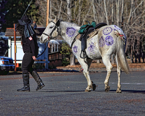 img_2301_11-28-09 TA 8X10