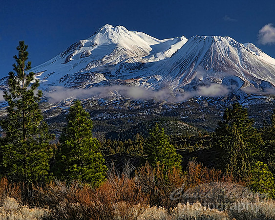 #205B - MT SHASTA WITH FRESH SNOW-T (1:1.25)