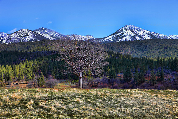 #230A - SCOTT MOUNTAINS #1 TA (1:1.5)
