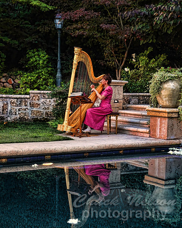 #292 - HARPIST #1 TA TC (1:1.25).jpg