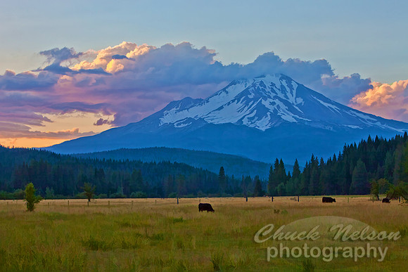 #453 - MOUNT SHASTA NEAR McCLOUD #18 TD-S (1:1.5)