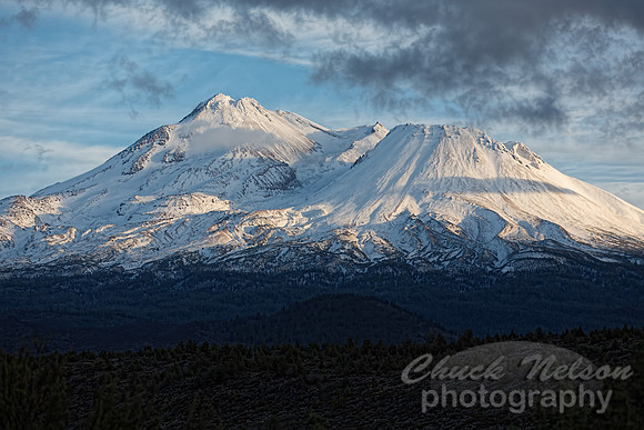 #558A - MOUNT SHASTA TD (1:1.5)