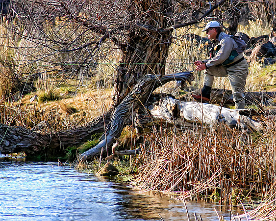 FISHING THE SHASTA (1:1.25)