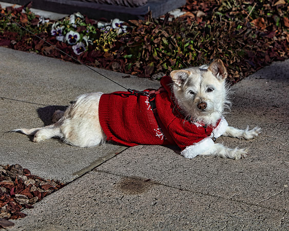 img_2322_11-28-09 TA 8X10