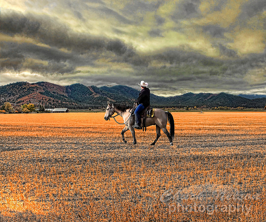 #308G - RIDER BENEATH A SISKIYOU SKY HDR TA gallery wrap (1:1.5).jpg