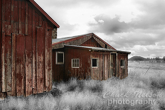#120 - THE RED HOUSE #3 (1:1.5)