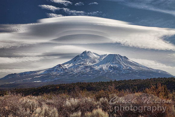 #317 - LENTICULAR ABOVE MT SHASTA #2 TA (1:1.5).jpg