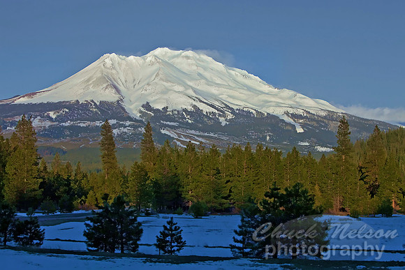 #342 - MT SHASTA #3 TS (1:1.5)