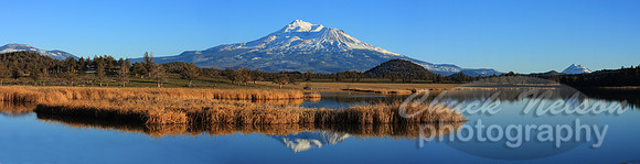 #88 - MT SHASTA AND GOLDEN TULES (0118 -0120 composite)