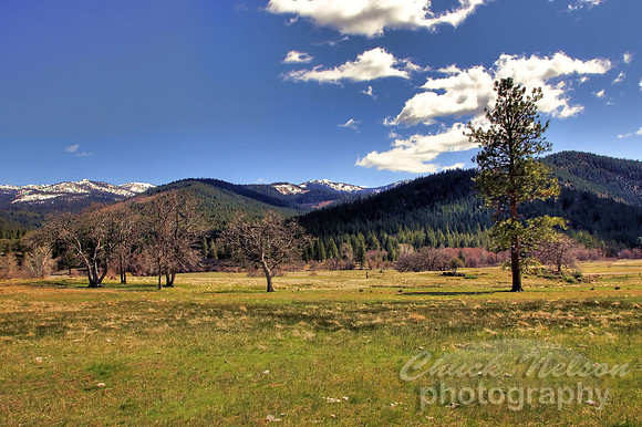 #231 - SCOTT MOUNTAINS #2 HDR TS (1:1.5)
