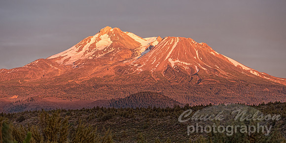 #532B - MT SHASTA SUNSET TD (1:2)
