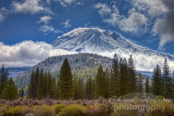 #432A - MT SHASTA AFTER AN APRIL SNOW HDR TA-D (1:1.5)