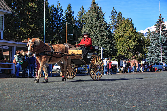 img_2308_11-28-09 TA 8X12