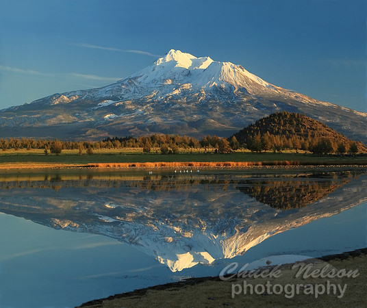 #78B - MT SHASTA REFLECTED #4 (1:1.25 gallery wrap)