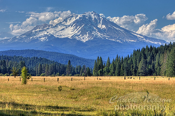 #442A - MOUNT SHASTA NEAR McCLOUD #9 HDR TA-D (1:1.5)
