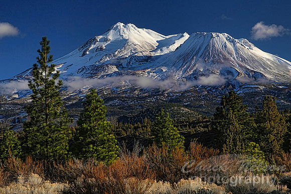 #205A - MOUNT SHASTA WITH FRESH SNOW-T (1:1.5)