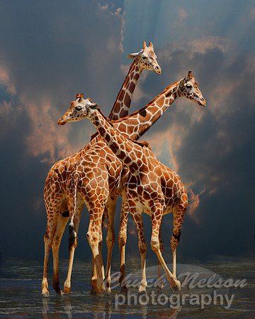 #301A - GIRAFFIC FANTASY (1:1.25).jpg