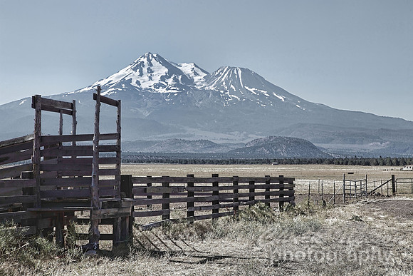 #271 - CORRAL AND MT SHASTA #2 TA (1:1.5)