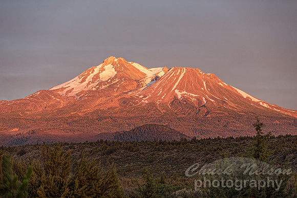 #532A - MT SHASTA SUNSET TD (1:1.5)