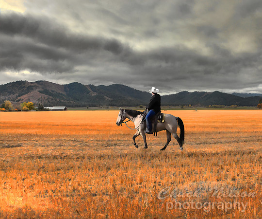 #308H - RIDER BENEATH A SISKIYOU SKY HDR TS gallery wrap (1:1.25).jpg