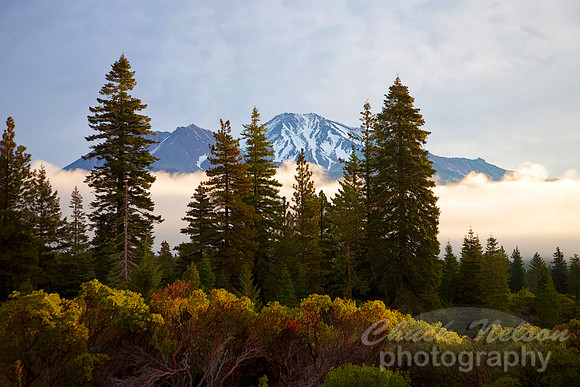 #473B - MOUNT SHASTA TD-S (1:1.5)