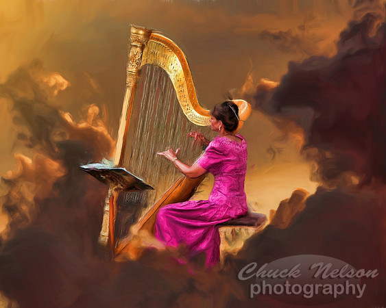 #300 - HARPIST #9 CP (1:1.25).jpg