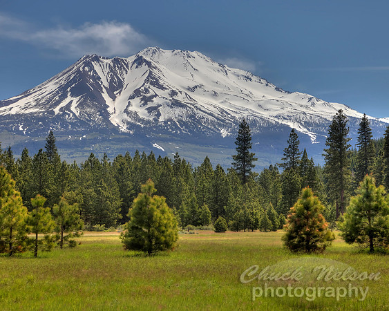#439C - MOUNT SHASTA ON A JUNE DAY #6 HDR TC (1:1.25)