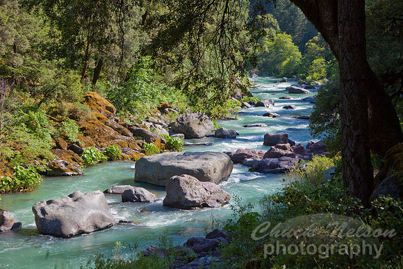 #366 - McCLOUD RIVER #10 (1:1.5)