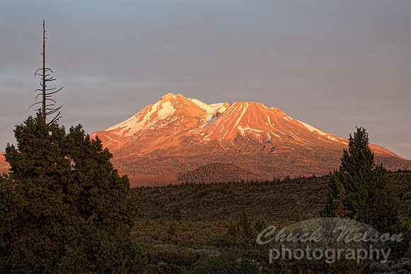 #530 - MT SHASTA SUNSET TD (1:1.5)