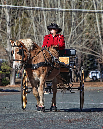 img_2304_11-28-09 TA 8X10