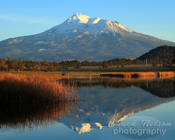 #84 - MT SHASTA REFLECTED #9 (1:1.25)