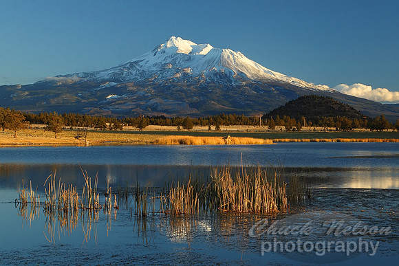 #48A - MT SHASTA AND LAKE # 14 (1:1.5)