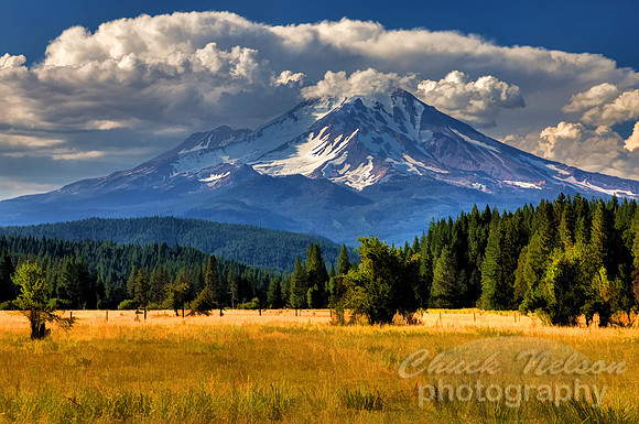 #446 - MOUNT SHASTA NEAR McCLOUD #13 HDR TD-S (1:1.5)