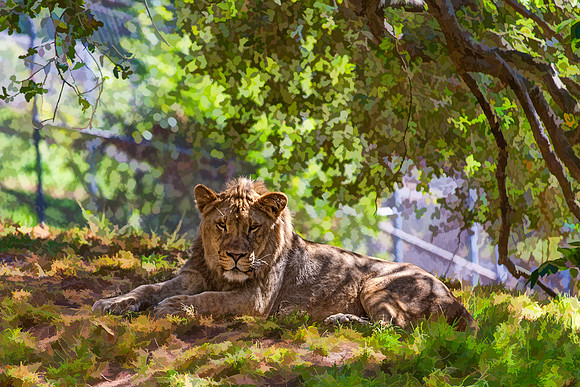 #590A - REGAL LION 2 TDAS (1:1.5)