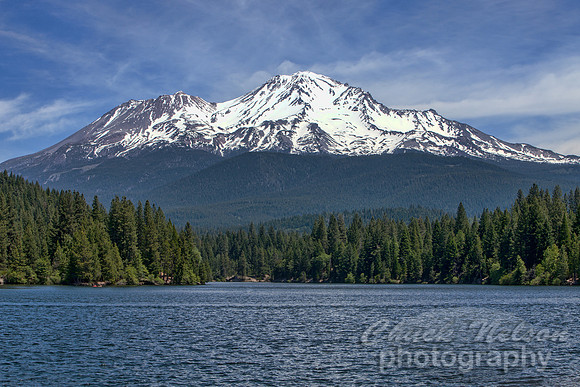485A - MOUNT SHASTA