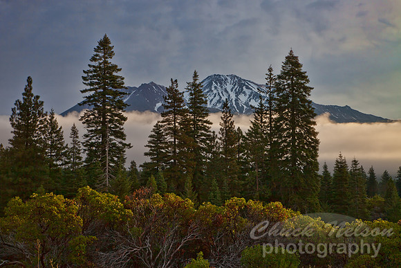 #474A - MOUNT SHASTA TA (1:1.5)