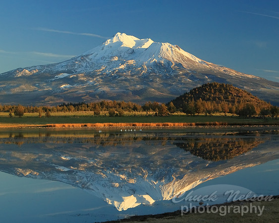 #78A - MT SHASTA REFLECTED #4 (1:1.25)
