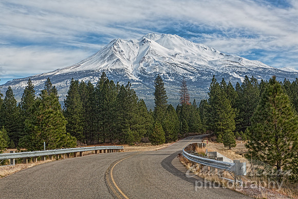 #604 - ROAD TO SHASTA TD (1:1.5)