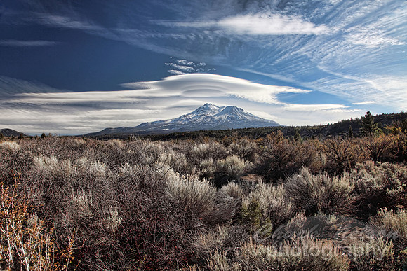 #316 - LENTICULAR ABOVE MT SHASTA #1 TA (1:1.5).jpg