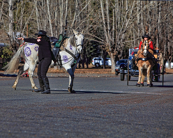img_2297_11-28-09 TA 8X10