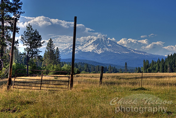 #443 - MOUNT SHASTA NEAR McCLOUD #10 HDR TD (1:1.5)