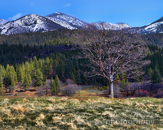 #230B - SCOTT MOUNTAINS #1 TA (1:1.25)