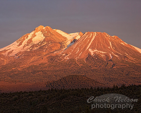 #531B - MT SHASTA SUNSET TDA (1:1.25)