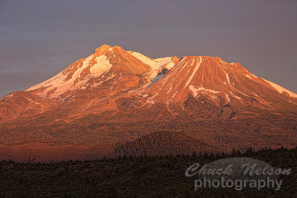 #531A - MT SHASTA SUNSET TDA (1:1.5)