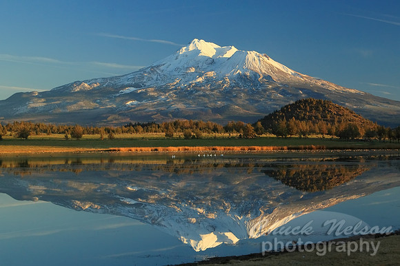 #78 - mt shasta reflected #4 (1:1.5)