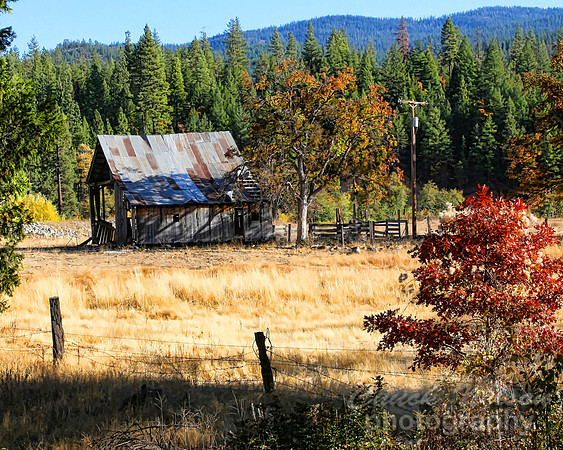 #209B - SCOTT VALLEY BARN #1-T (1:1.25)